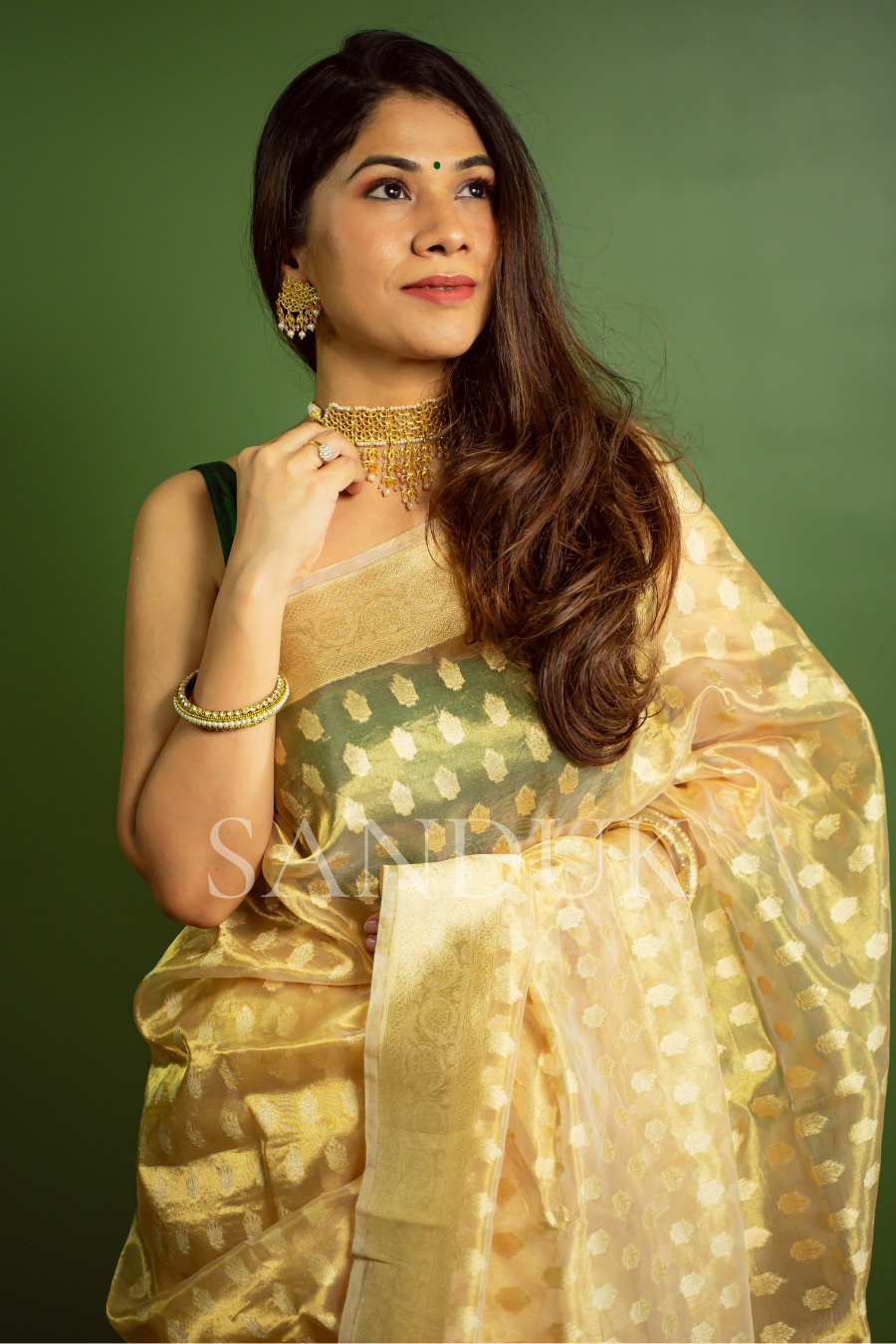 virahi (saree)